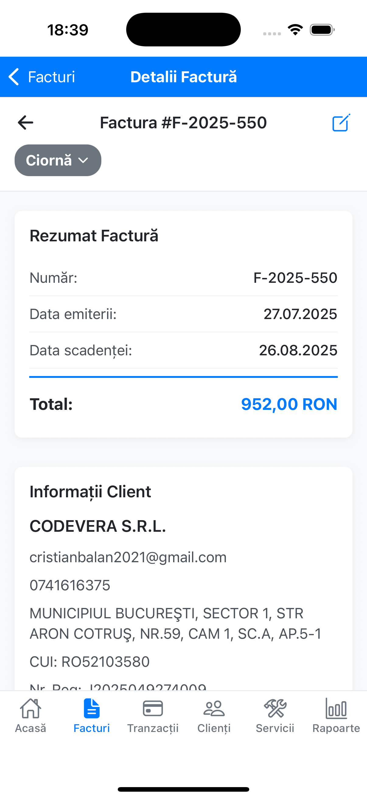 Rapoarte financiare